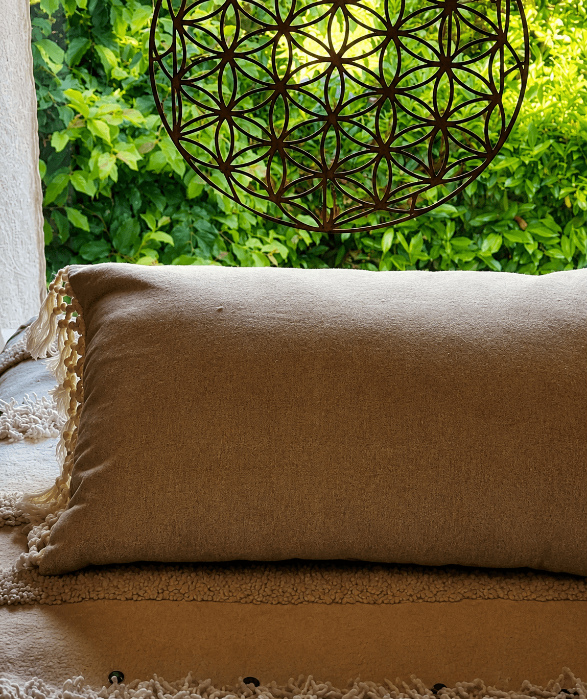 Eingang zum Reiki Studio Petra In-Albon in Gümmenen mit Pflanzen und Holzelementen